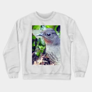 Echo the Lyrebird Crewneck Sweatshirt